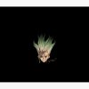 Pure Drstones Tapestry Official Dr. Stone Merch
