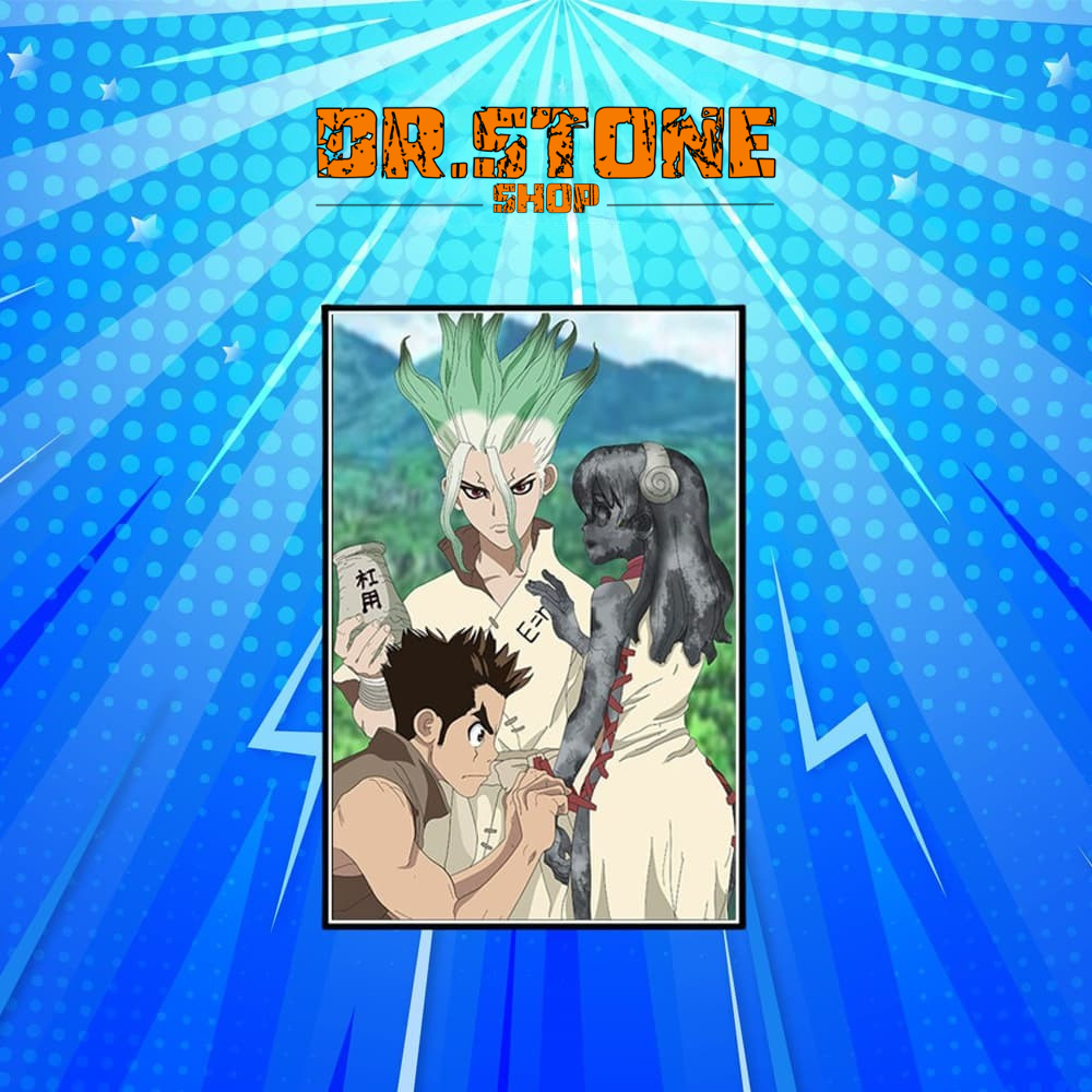 5 - Dr. Stone Shop